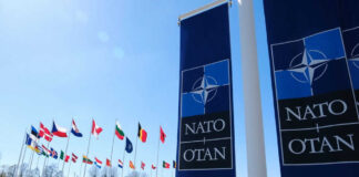 NATO flags flying under clear blue sky