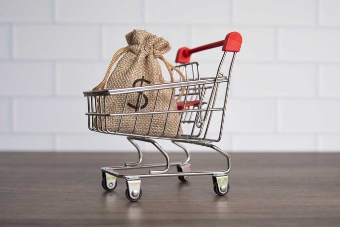 shutterstock_2455939511.jpg A shopping cart with a burlap money bag inside