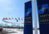NATO flags flying under clear blue sky