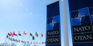 NATO flags flying under clear blue sky