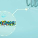 Close-up of colorful microplastic particles next to a fork on a blue surface