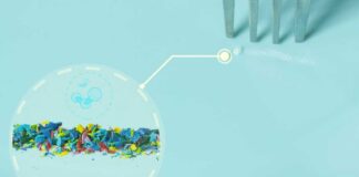 Close-up of colorful microplastic particles next to a fork on a blue surface